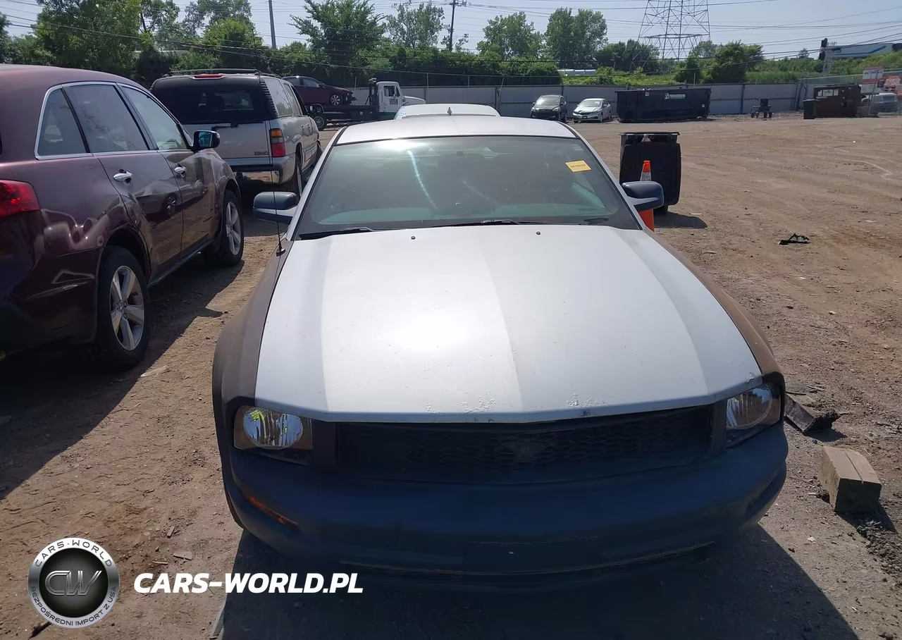 2006 Ford Mustang V6 VIN:1ZVFT80NX65200596 - 6