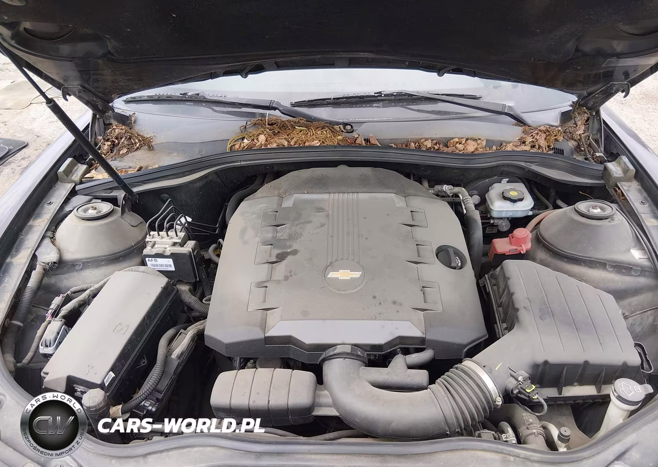 2010 Chevrolet Camaro 1Lt VIN:2G1FF1EV9A9226508 - 10