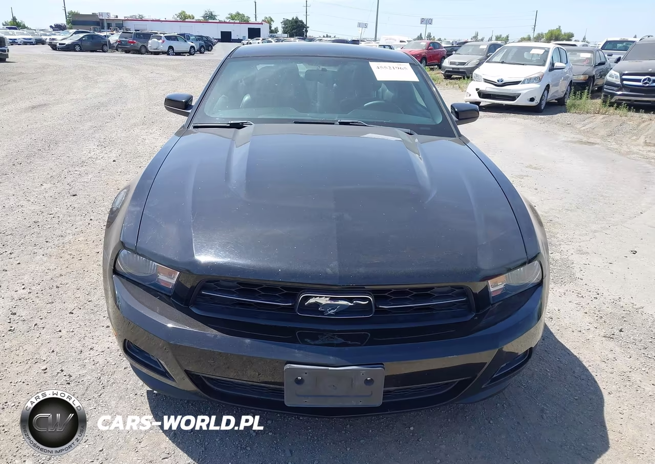 2012 Ford Mustang V6 Premium VIN:1ZVBP8AM1C5224466 - 12