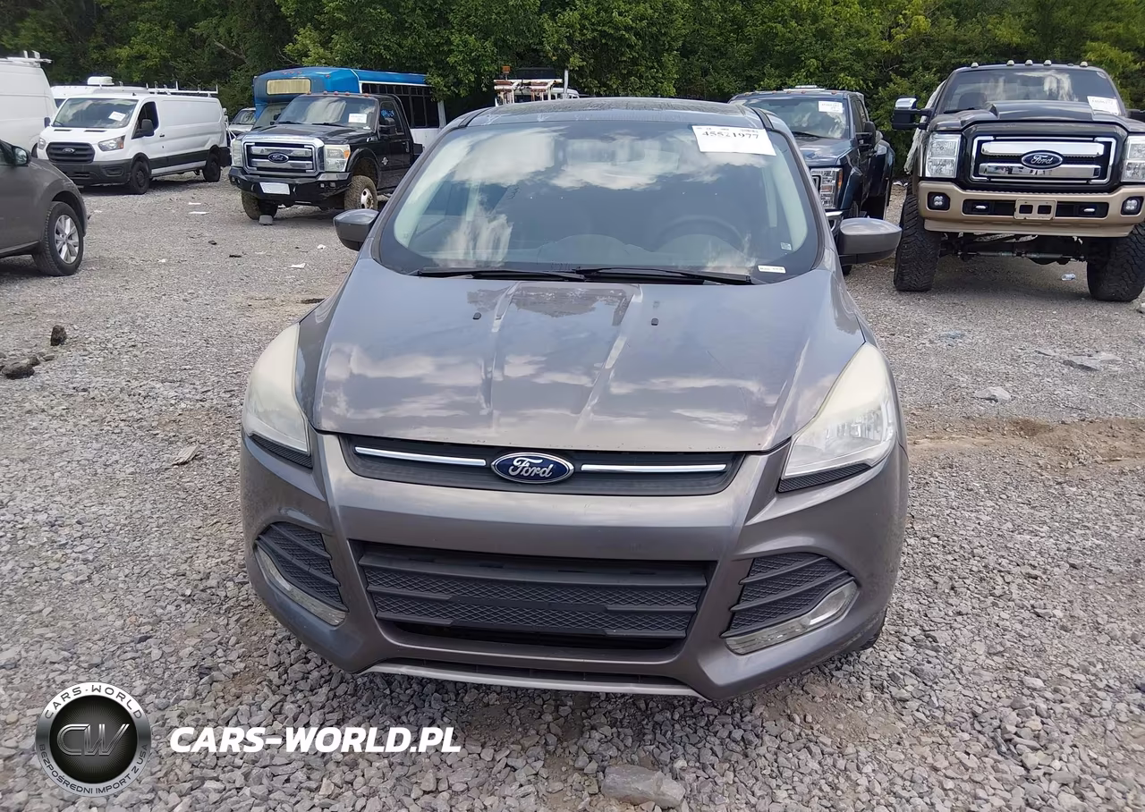 2013 Ford Escape Se VIN:1FMCU9G94DUD92694 - 12