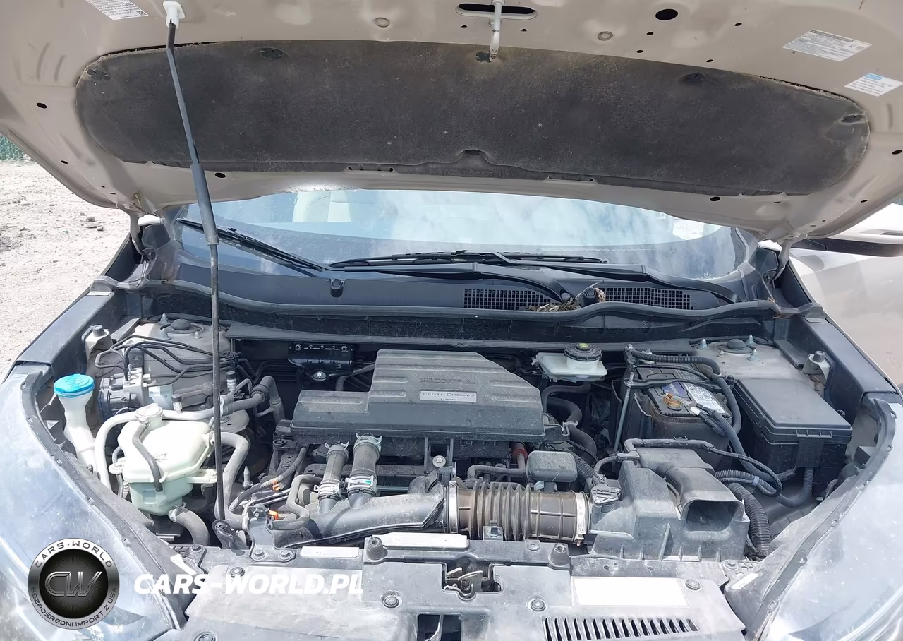 2018 Honda Cr-V Ex-L-Ex-L Navi VIN:5J6RW2H83JL029403 - 10