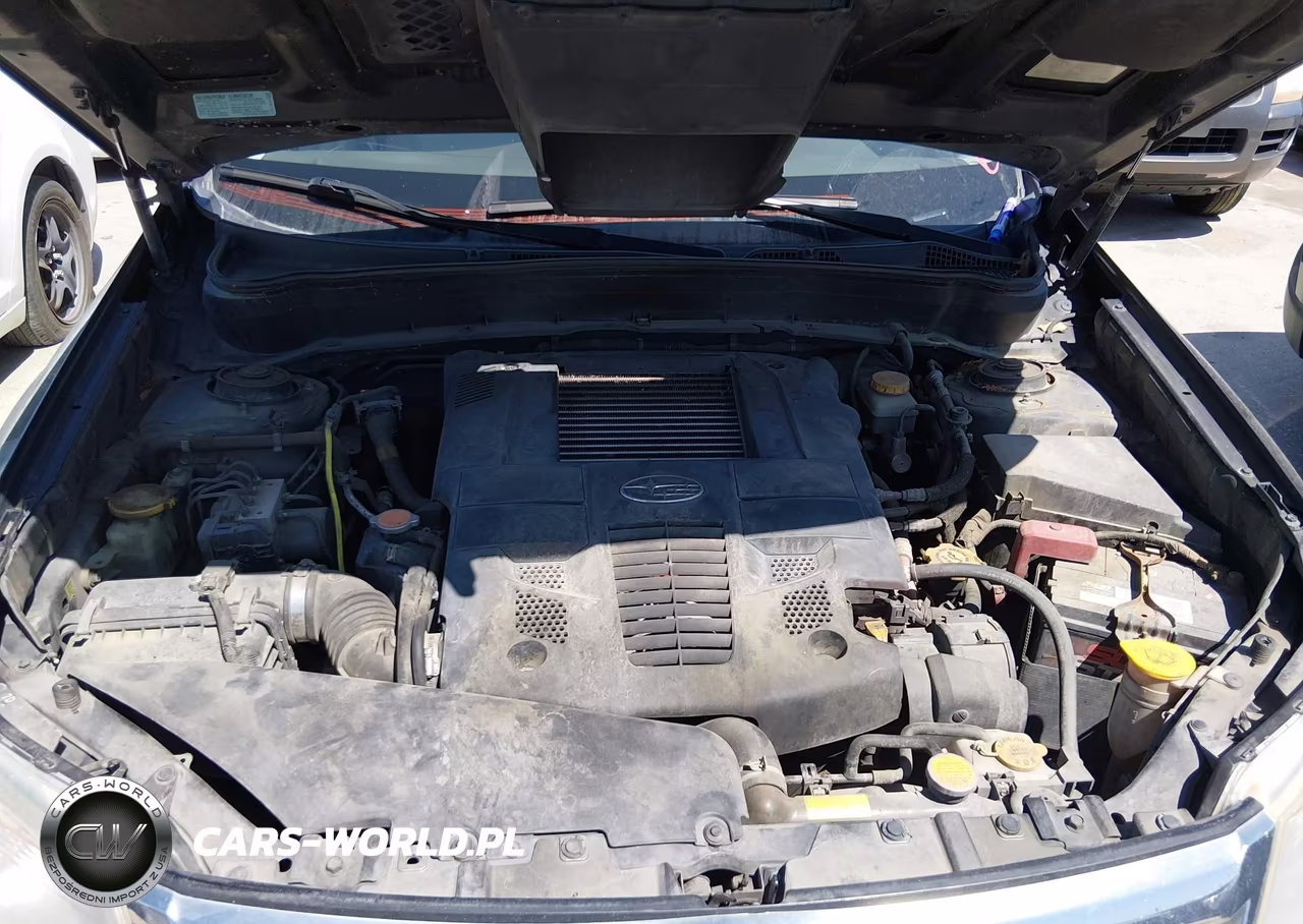 2009 Subaru Forester 2.5Xt Limited VIN:JF2SH66689H744686 - 10