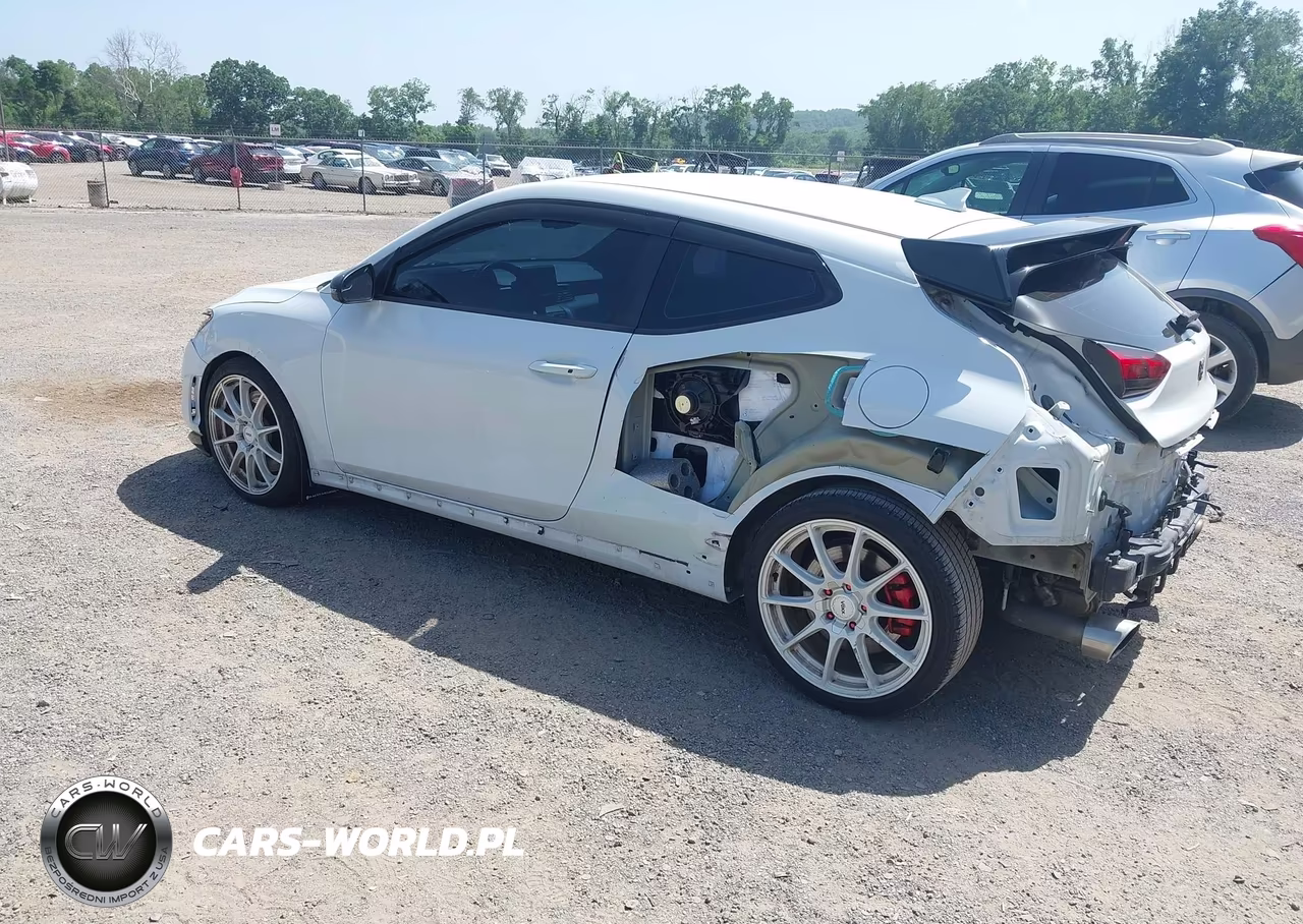 2020 Hyundai Veloster N VIN:KMHT36AH1LU003459 - 3
