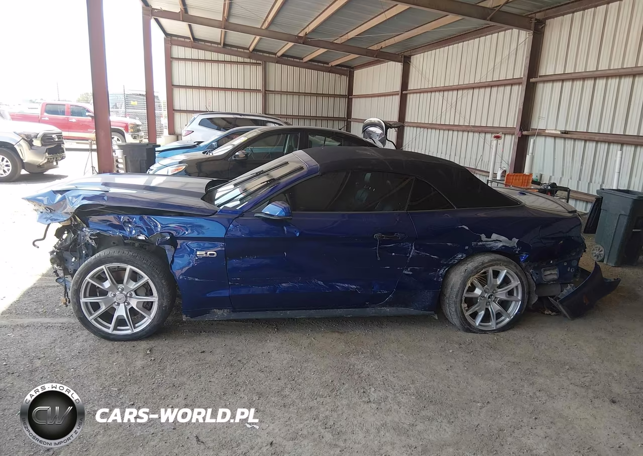2015 Ford Mustang Gt Premium VIN:1FATP8FF9F5362896 - 15