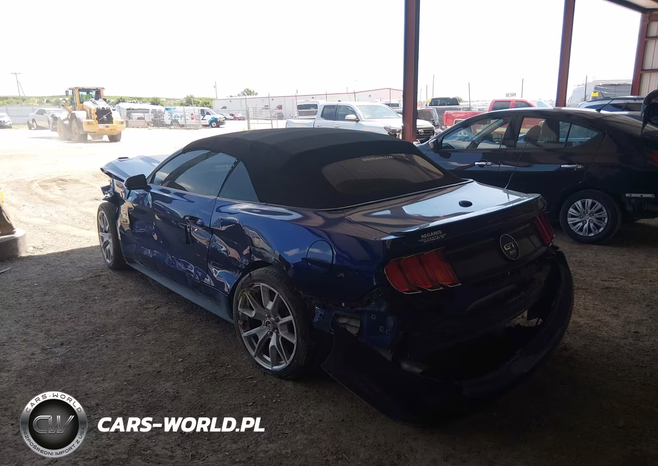 2015 Ford Mustang Gt Premium VIN:1FATP8FF9F5362896 - 3