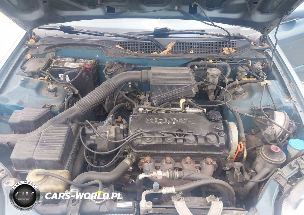 1998 Honda Civic Lx VIN:2HGEJ6577WH500982 - 10