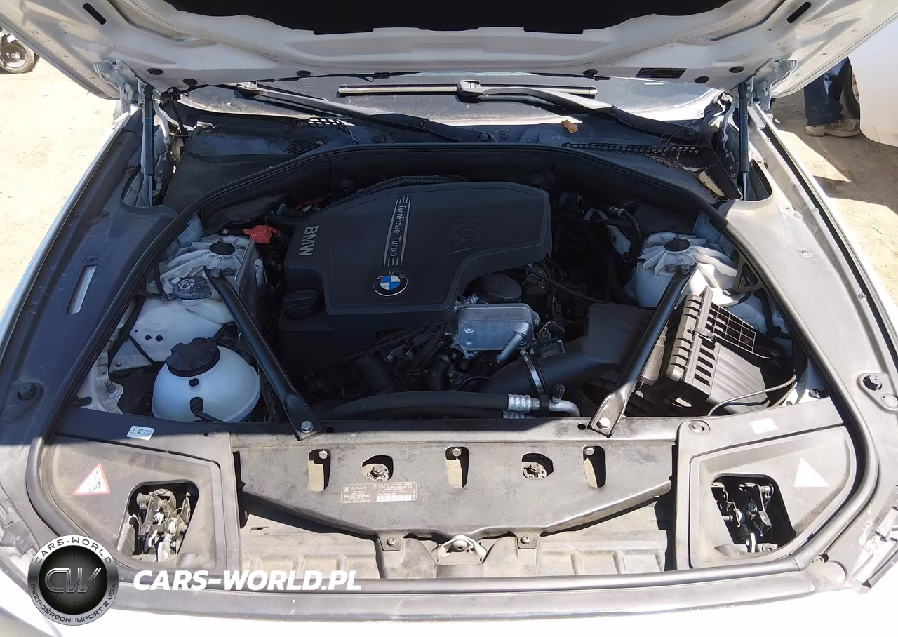 2013 BMW 528I VIN:WBAXG5C56DD233083 - 10