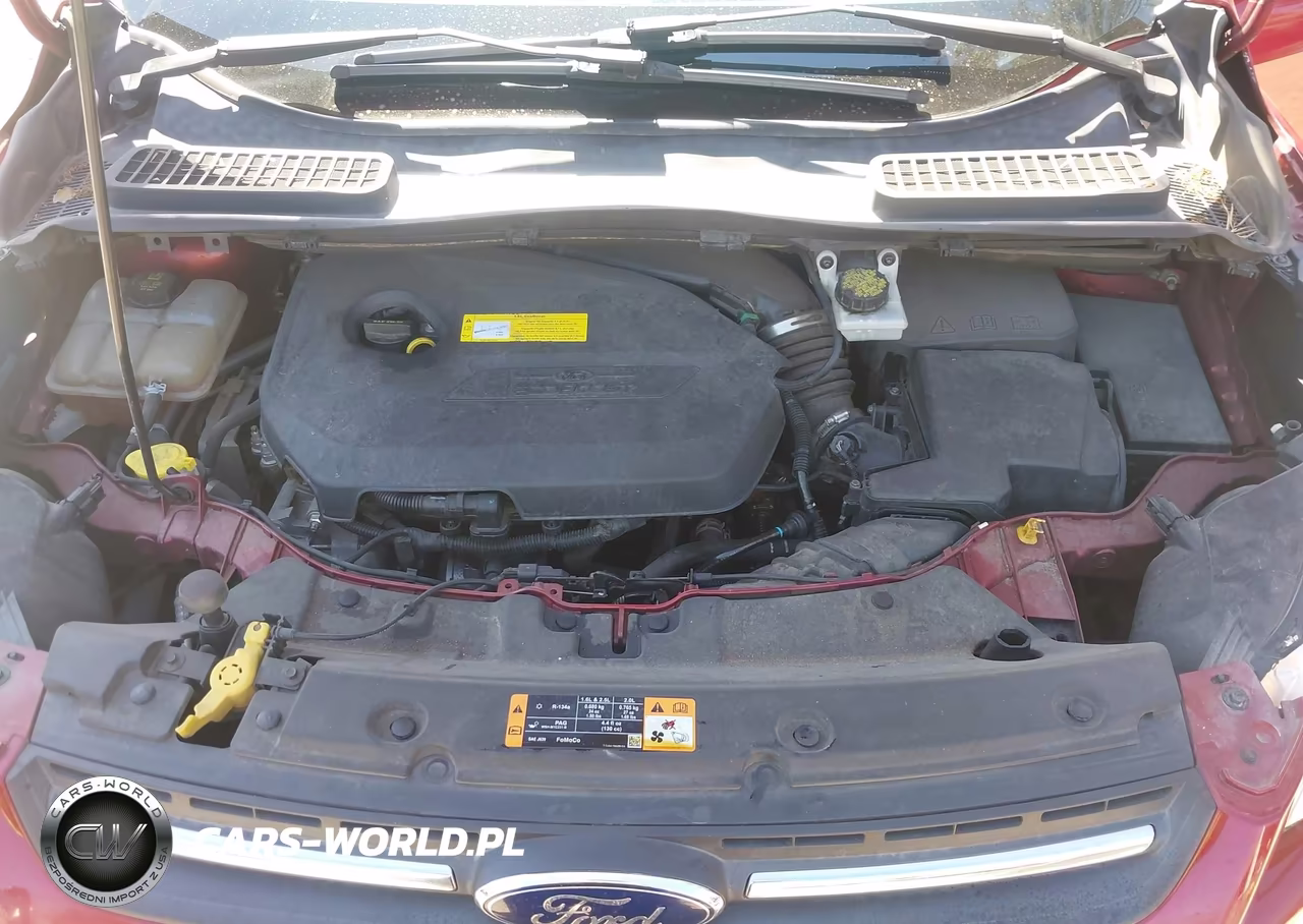 2016 Ford Escape Se VIN:1FMCU0GX9GUB83238 - 10