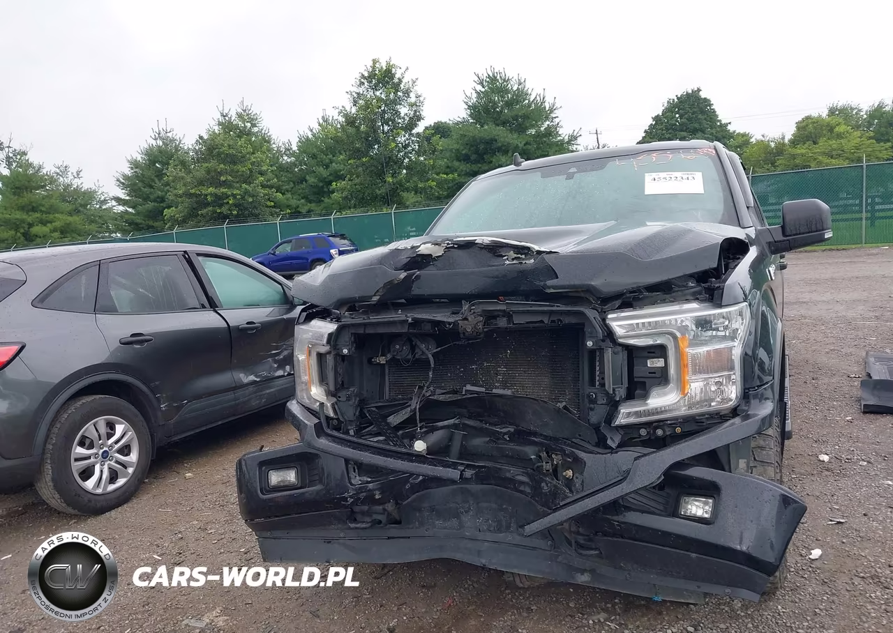 2019 Ford F-150 King Ranch-Lariat-Platinum-Xl-Xlt VIN:1FTFW1E46KFD21597 - 12
