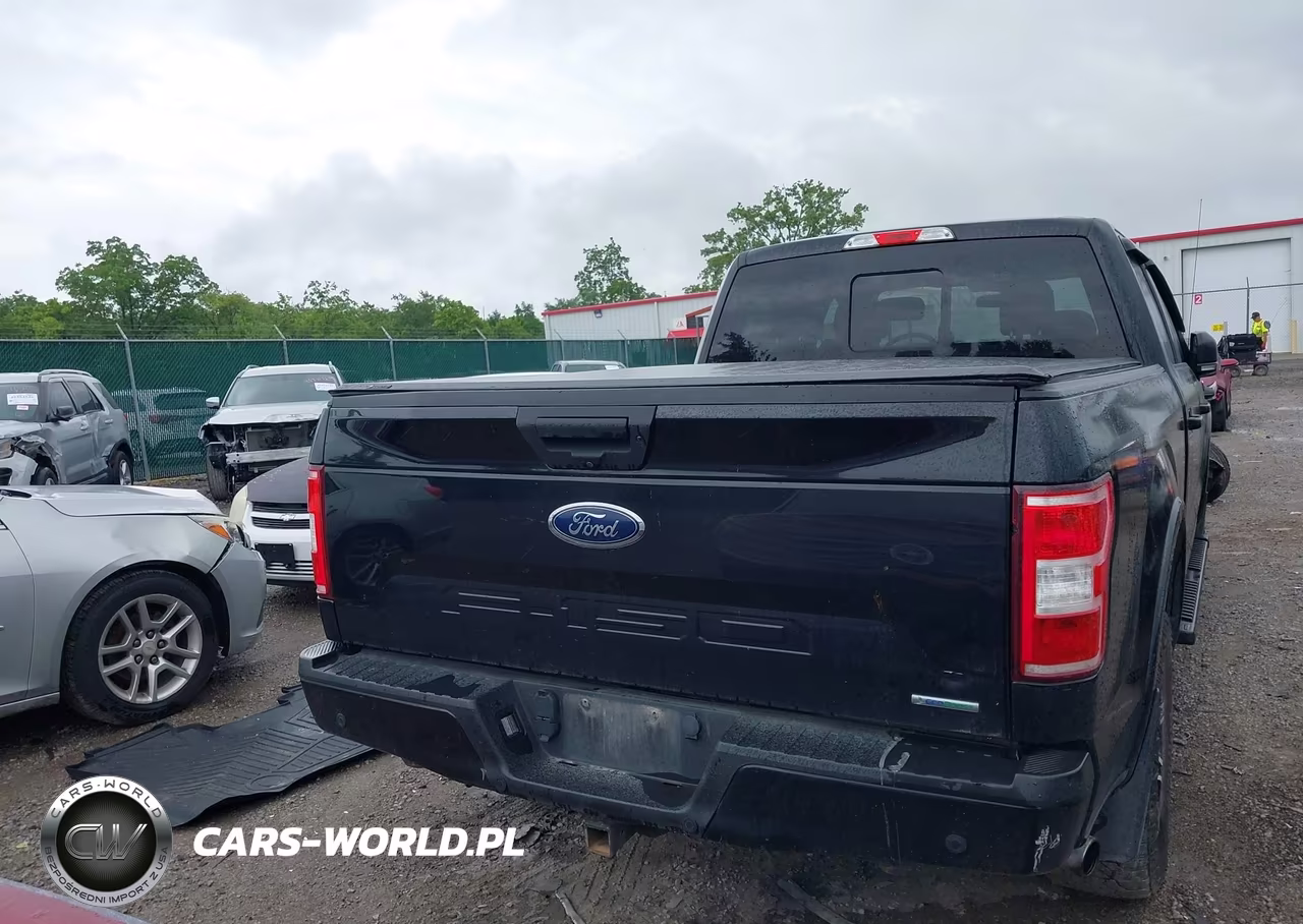 2019 Ford F-150 King Ranch-Lariat-Platinum-Xl-Xlt VIN:1FTFW1E46KFD21597 - 16