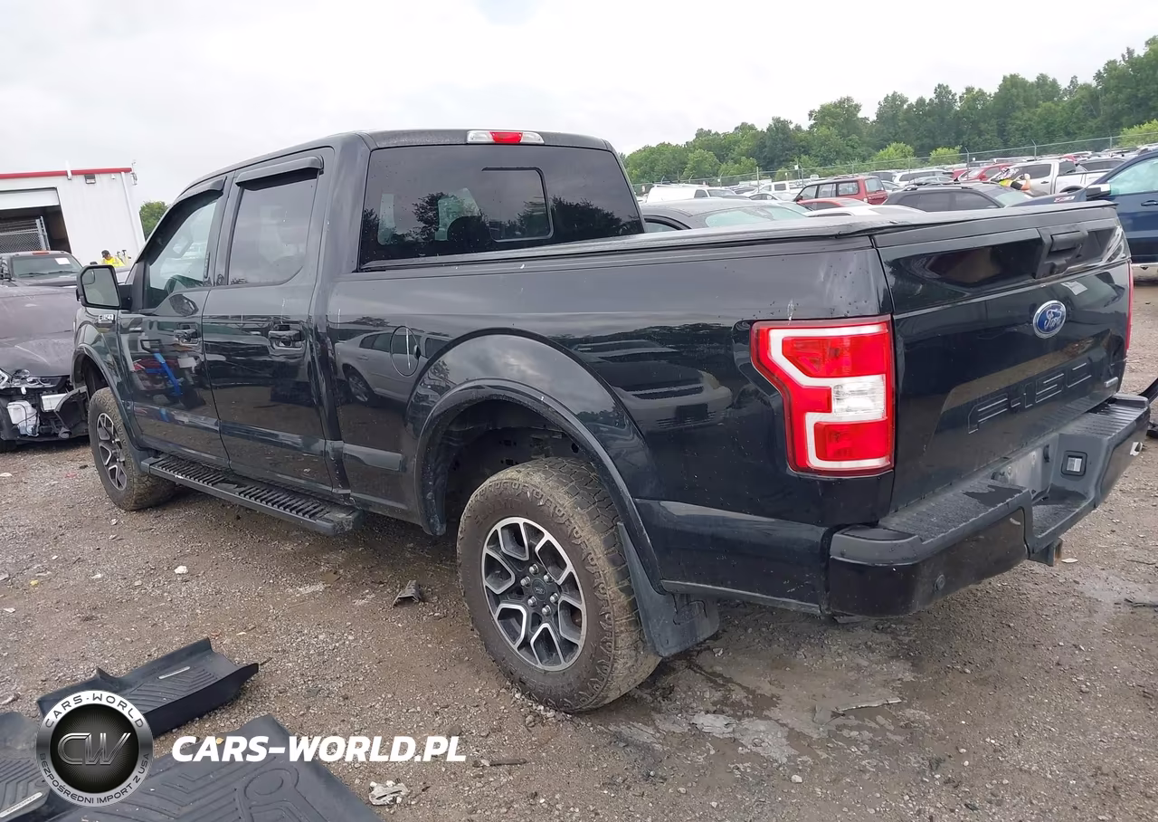 2019 Ford F-150 King Ranch-Lariat-Platinum-Xl-Xlt VIN:1FTFW1E46KFD21597 - 3