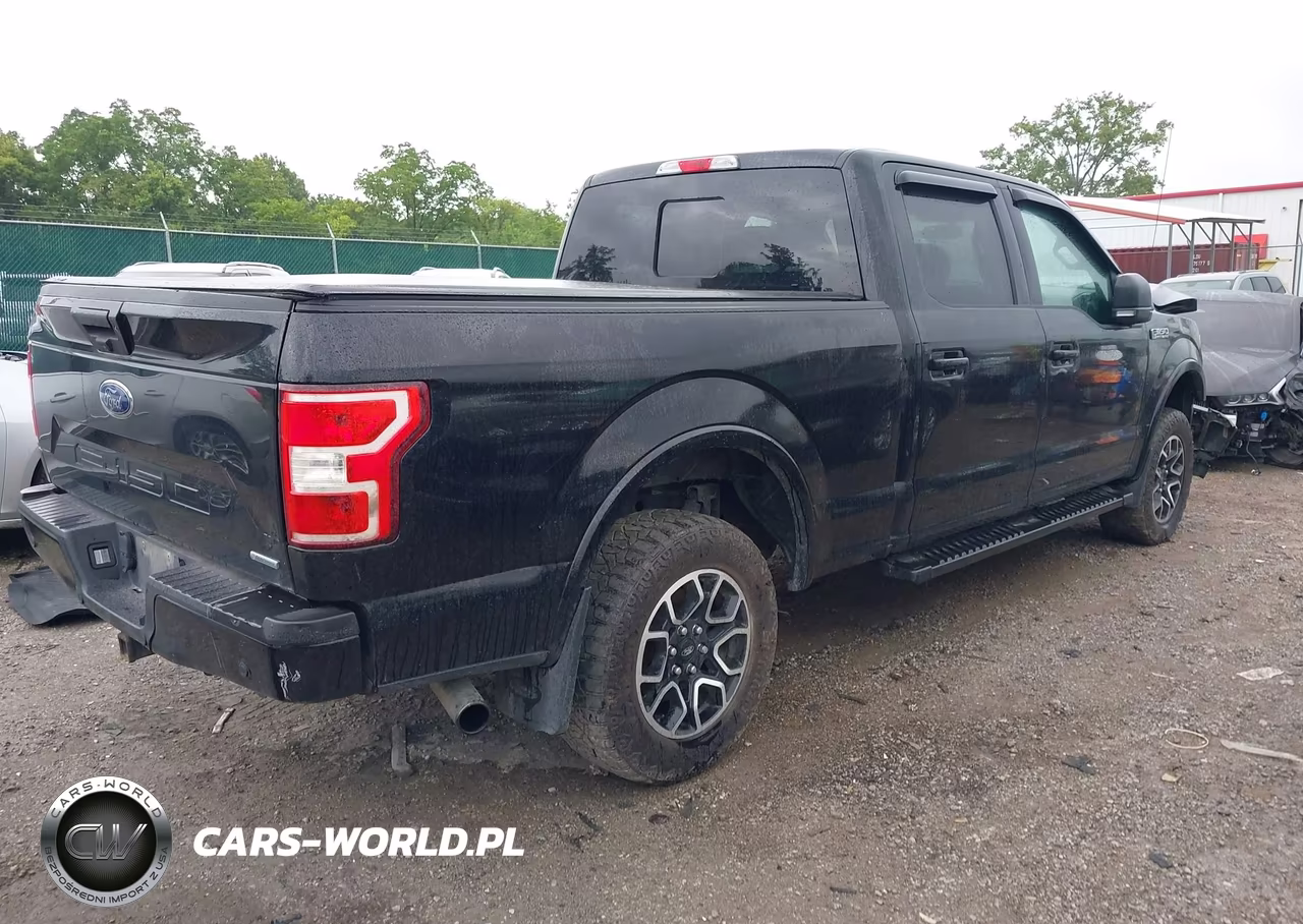 2019 Ford F-150 King Ranch-Lariat-Platinum-Xl-Xlt VIN:1FTFW1E46KFD21597 - 4