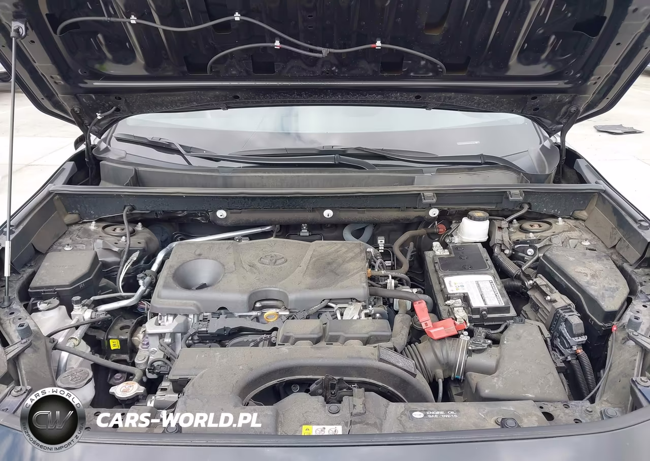 2019 Toyota Rav4 Xle Premium VIN:2T3C1RFV5KW054782 - 10