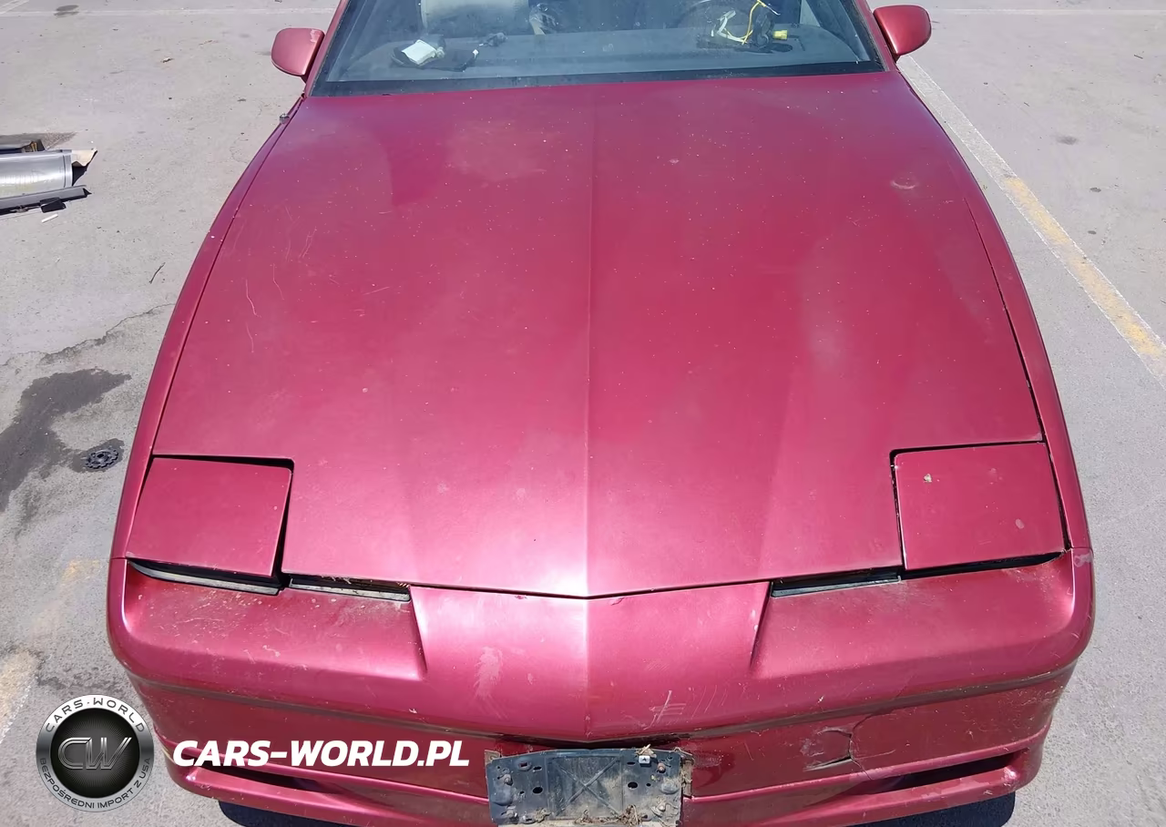 1990 Pontiac Firebird VIN:1G2FS23T1LL200060 - 10