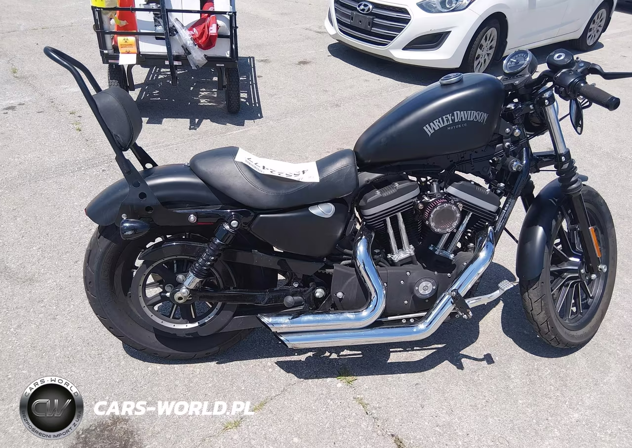 2013 Harley-Davidson Xl883 Iron 883 VIN:1HD4LE212DC401127 - 13