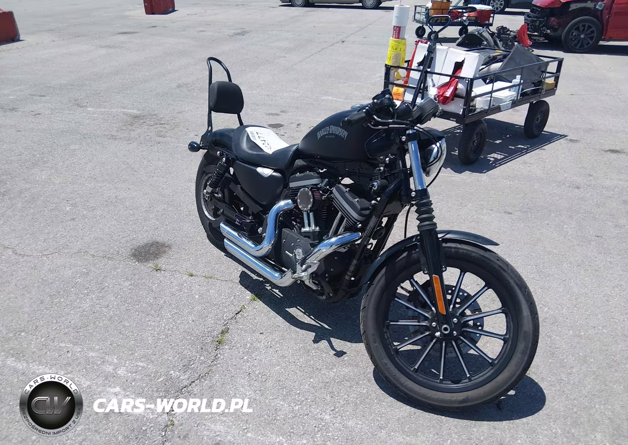 2013 Harley-Davidson Xl883 Iron 883 VIN:1HD4LE212DC401127 - 2