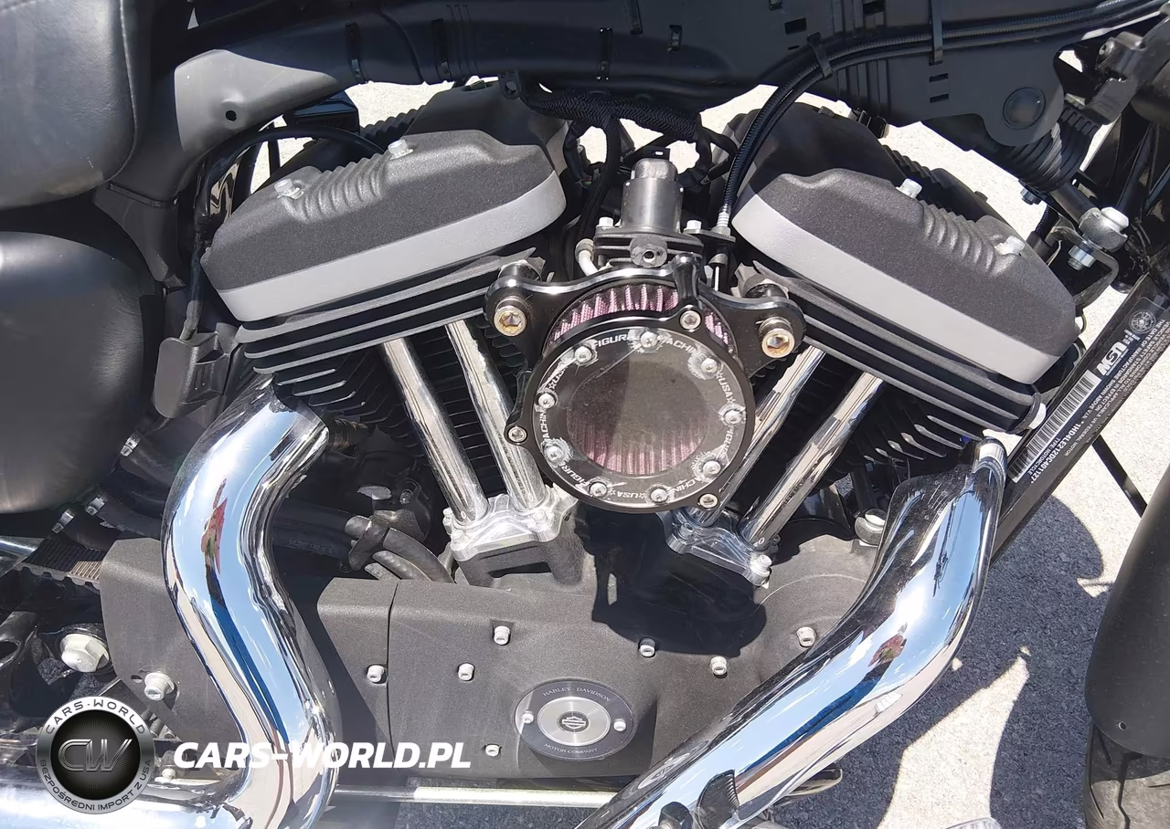 2013 Harley-Davidson Xl883 Iron 883 VIN:1HD4LE212DC401127 - 9