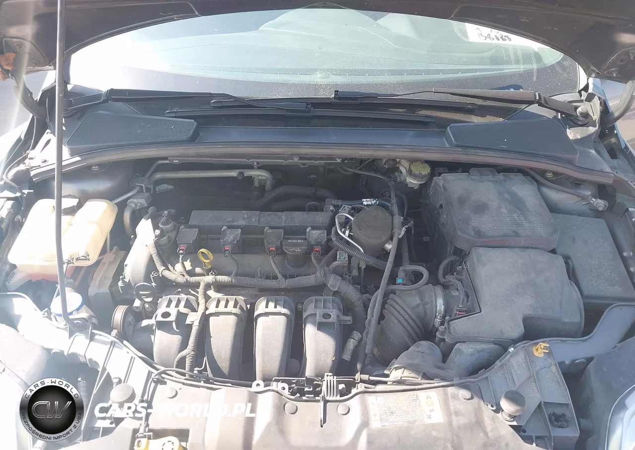 2014 Ford Focus Se VIN:1FADP3F26EL371327 - 10