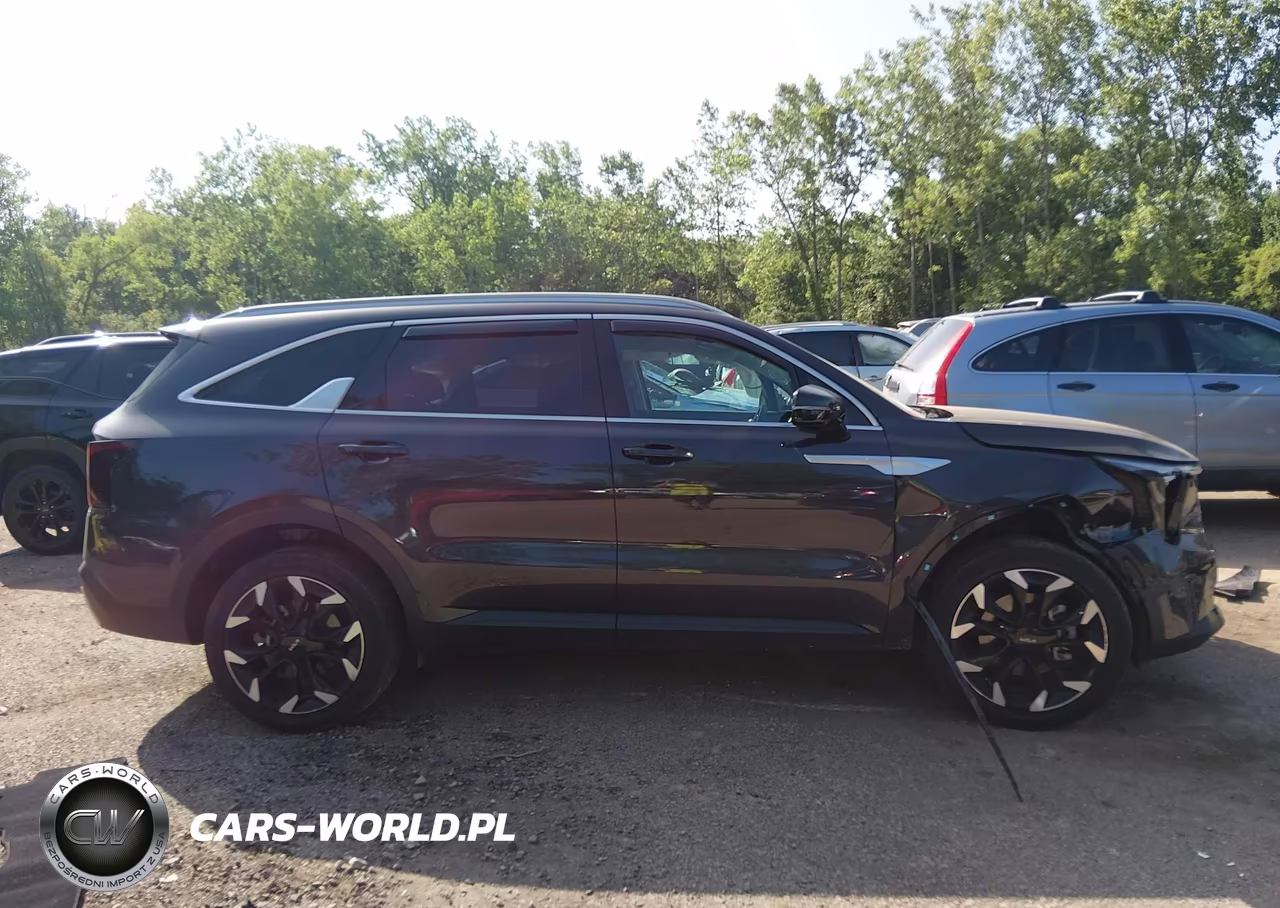 2025 Kia Sorento Ex VIN:5XYRHDJF5SG375910 - 13