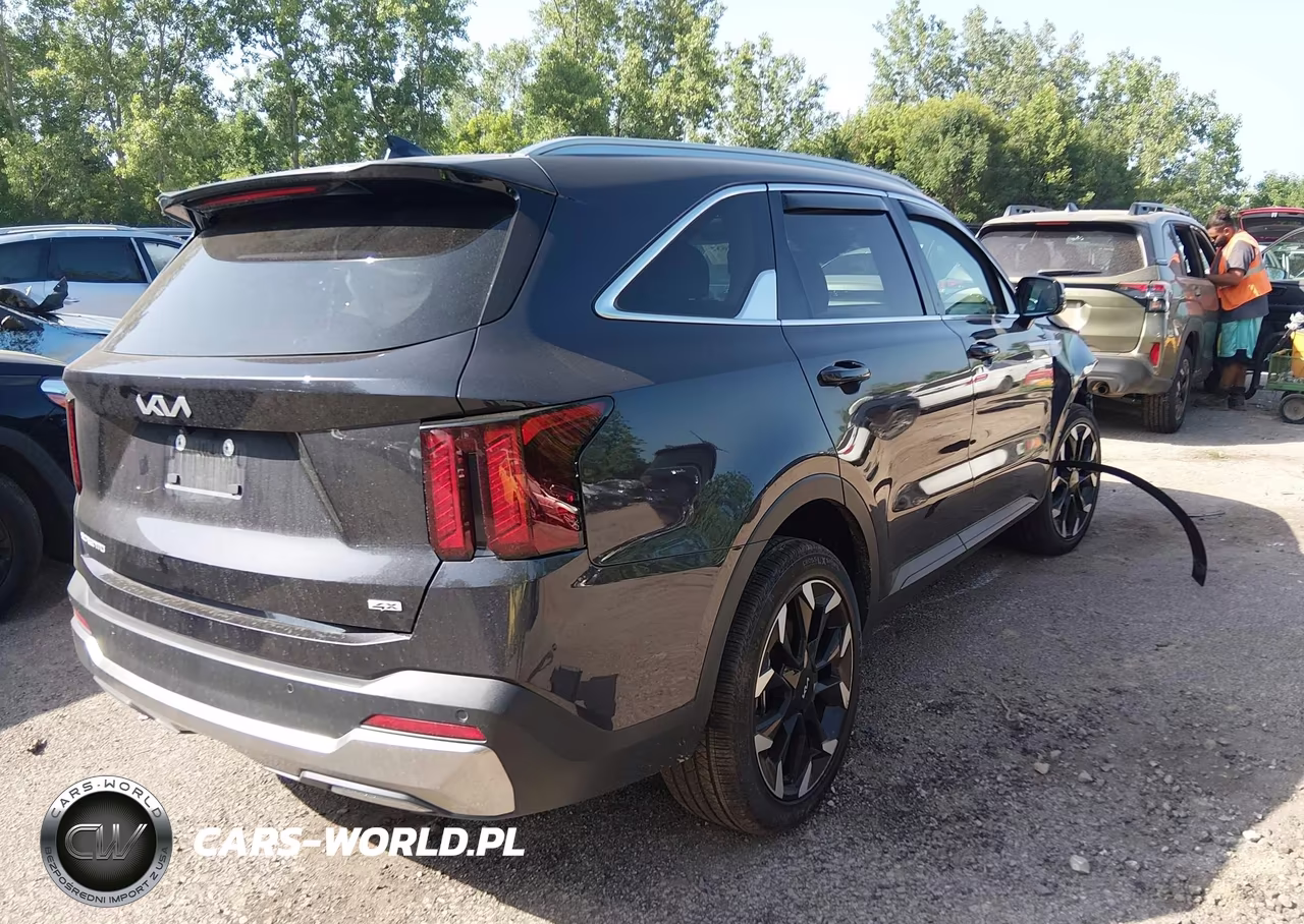 2025 Kia Sorento Ex VIN:5XYRHDJF5SG375910 - 4