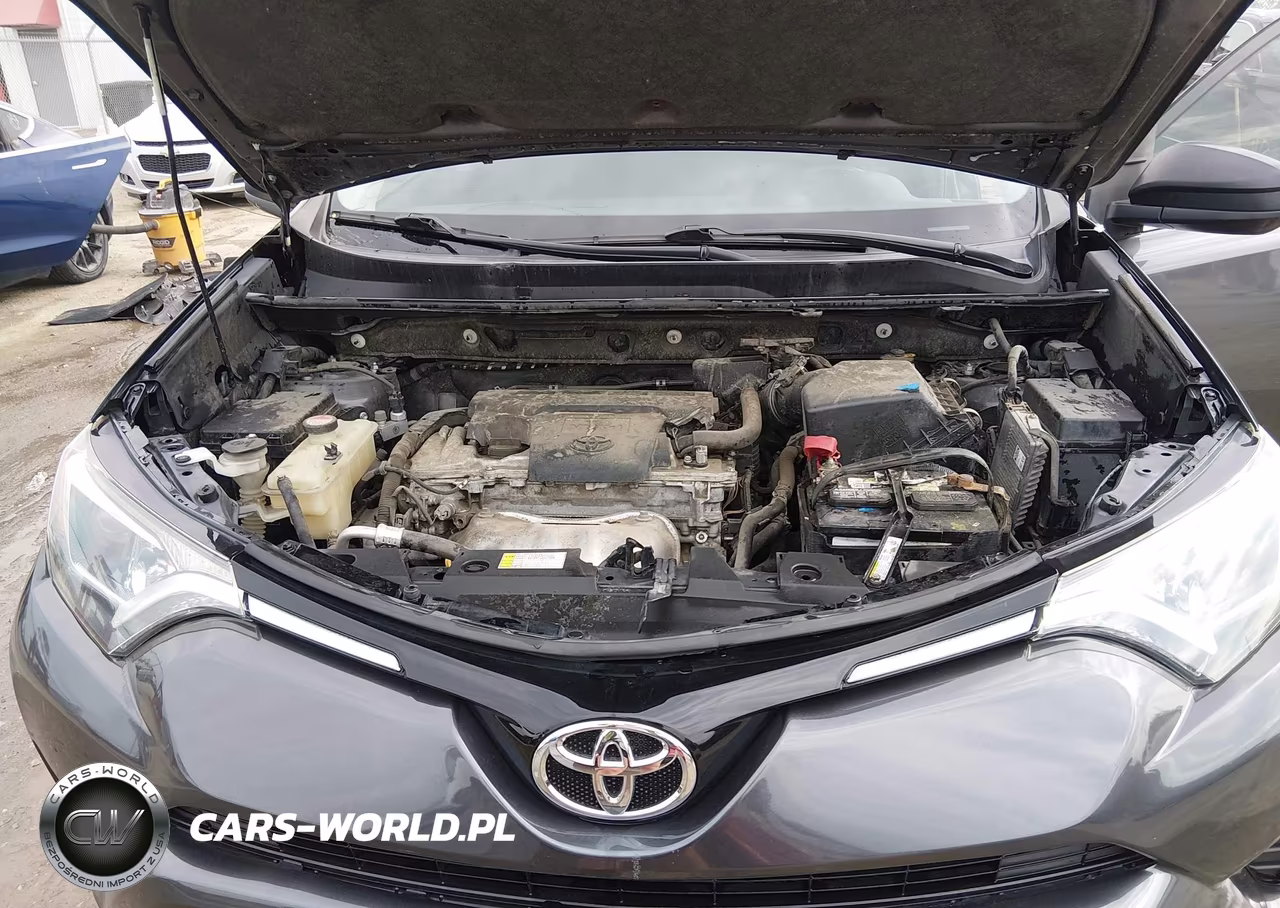 2016 Toyota Rav4 Le VIN:JTMBFREV1GJ072362 - 10