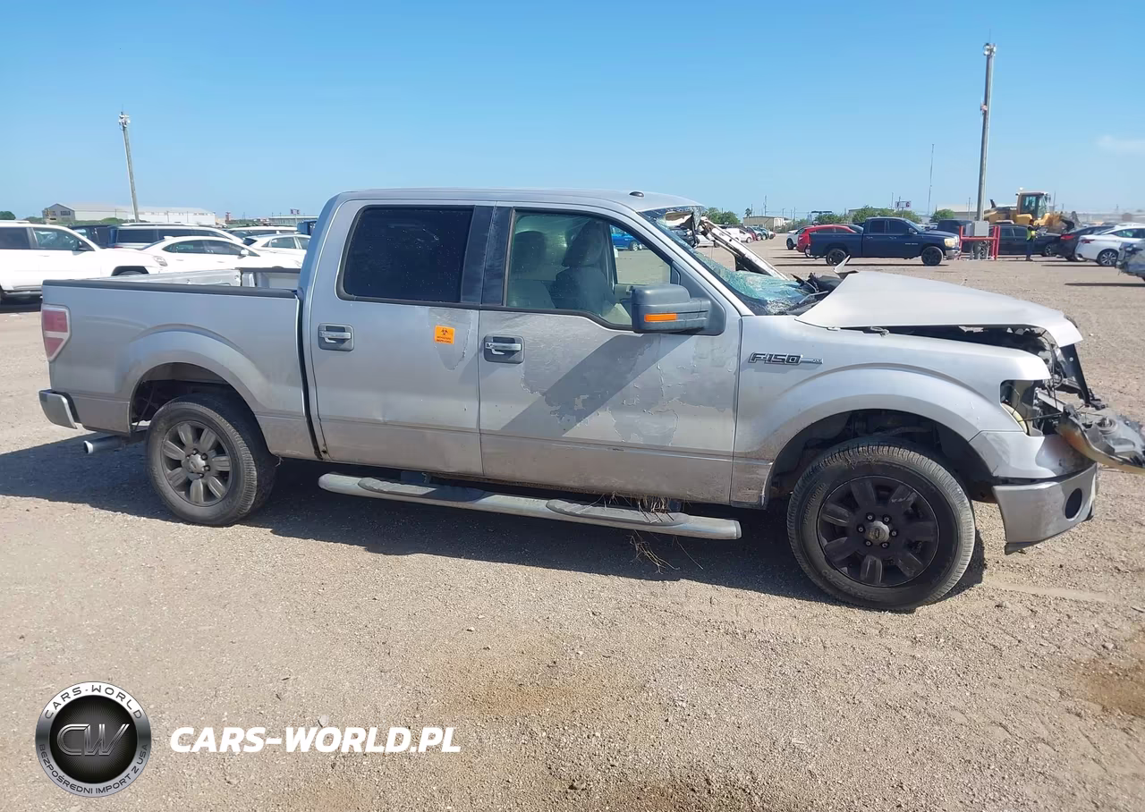 2009 Ford F-150 Xl-Xlt VIN:1FTRW12899FA46418 - 13