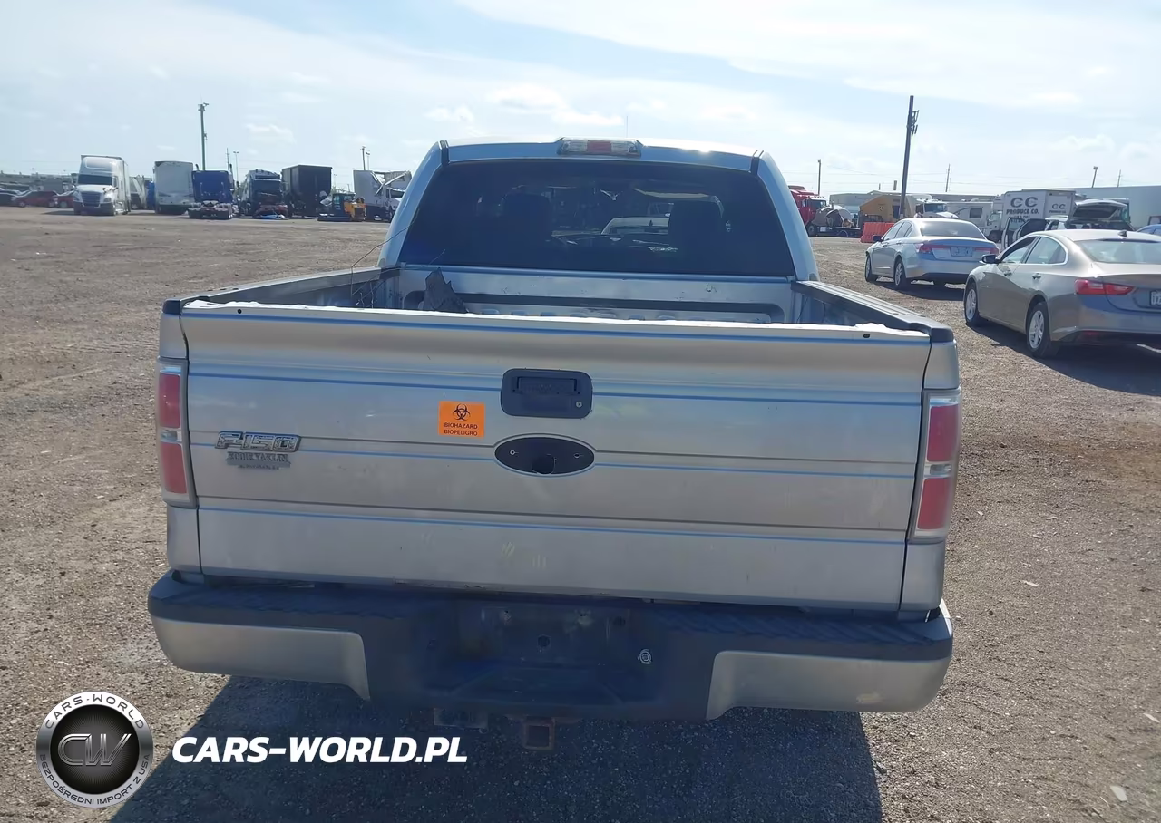 2009 Ford F-150 Xl-Xlt VIN:1FTRW12899FA46418 - 16
