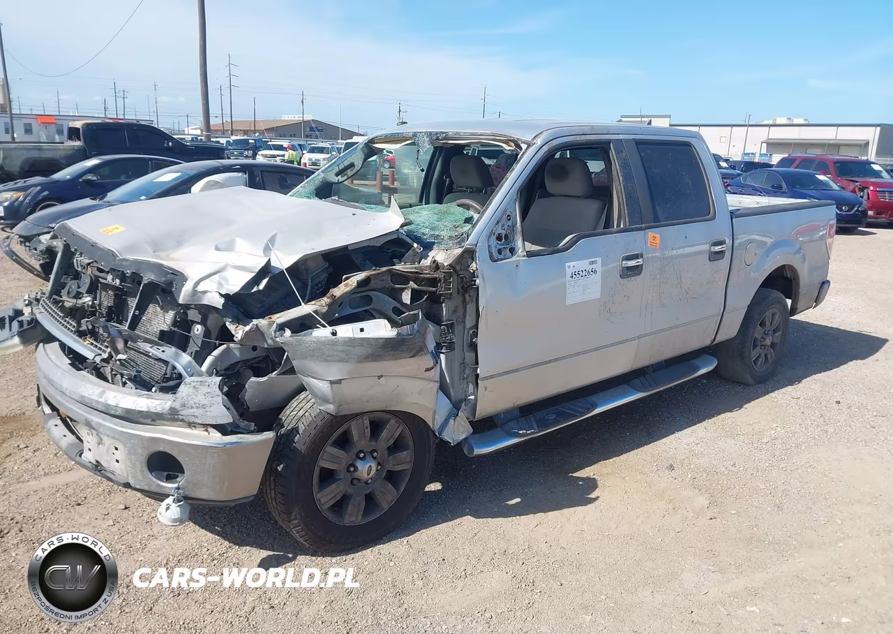 2009 Ford F-150 Xl-Xlt VIN:1FTRW12899FA46418 - 2
