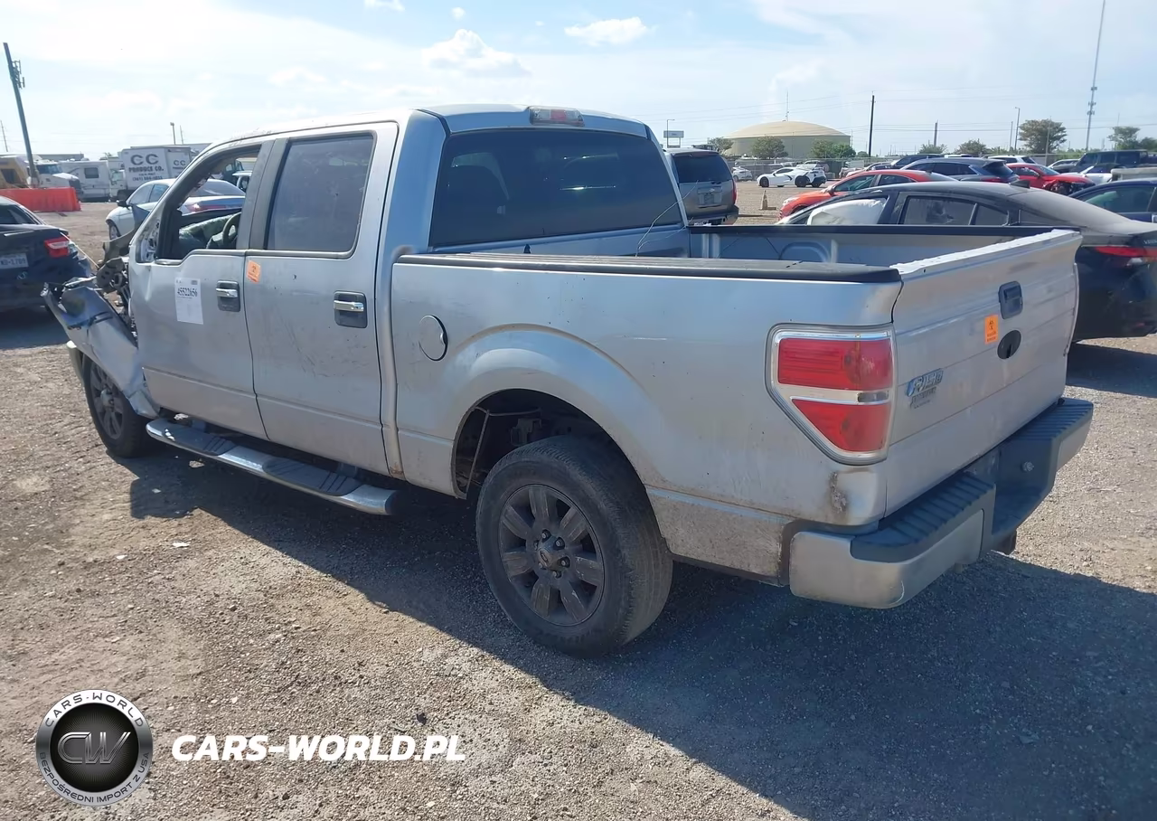 2009 Ford F-150 Xl-Xlt VIN:1FTRW12899FA46418 - 3