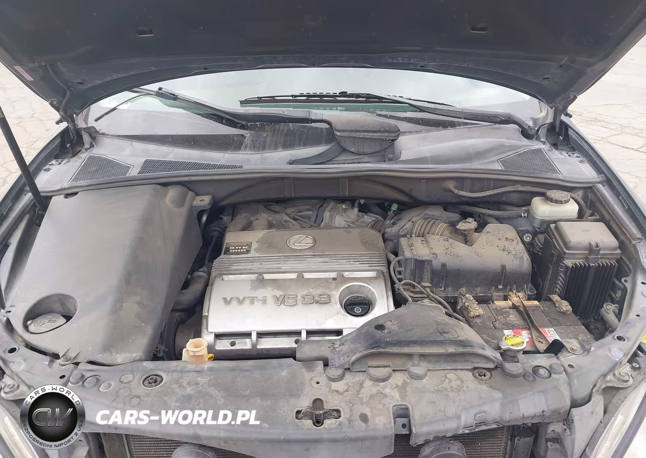 2005 Lexus Rx 330 VIN:JTJGA31U650047245 - 10