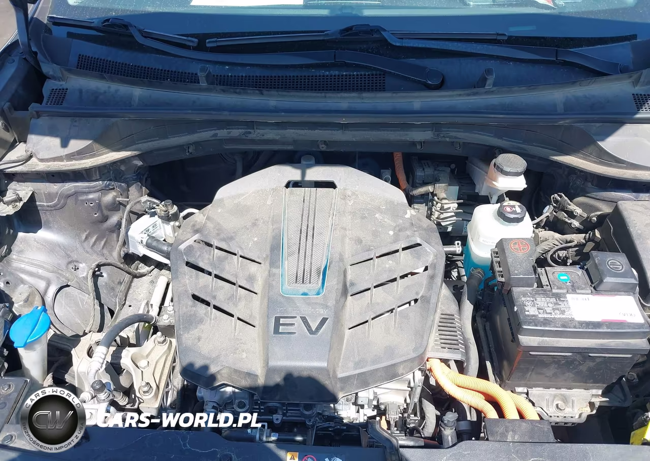 2019 Kia Niro Ev Ex VIN:KNDCC3LG6K5016448 - 10