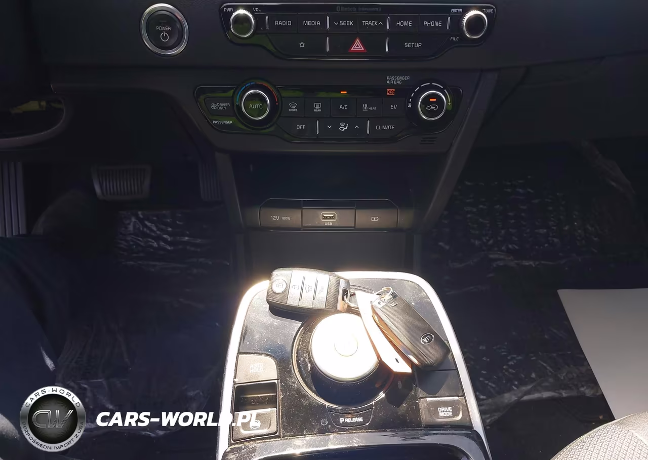 2019 Kia Niro Ev Ex VIN:KNDCC3LG6K5016448 - 11