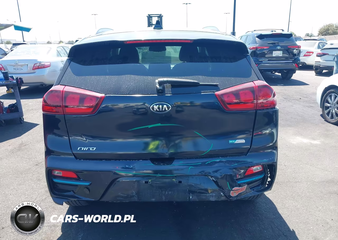 2019 Kia Niro Ev Ex VIN:KNDCC3LG6K5016448 - 17