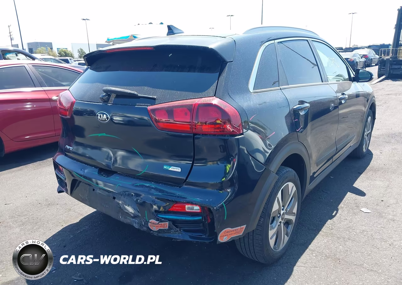 2019 Kia Niro Ev Ex VIN:KNDCC3LG6K5016448 - 4