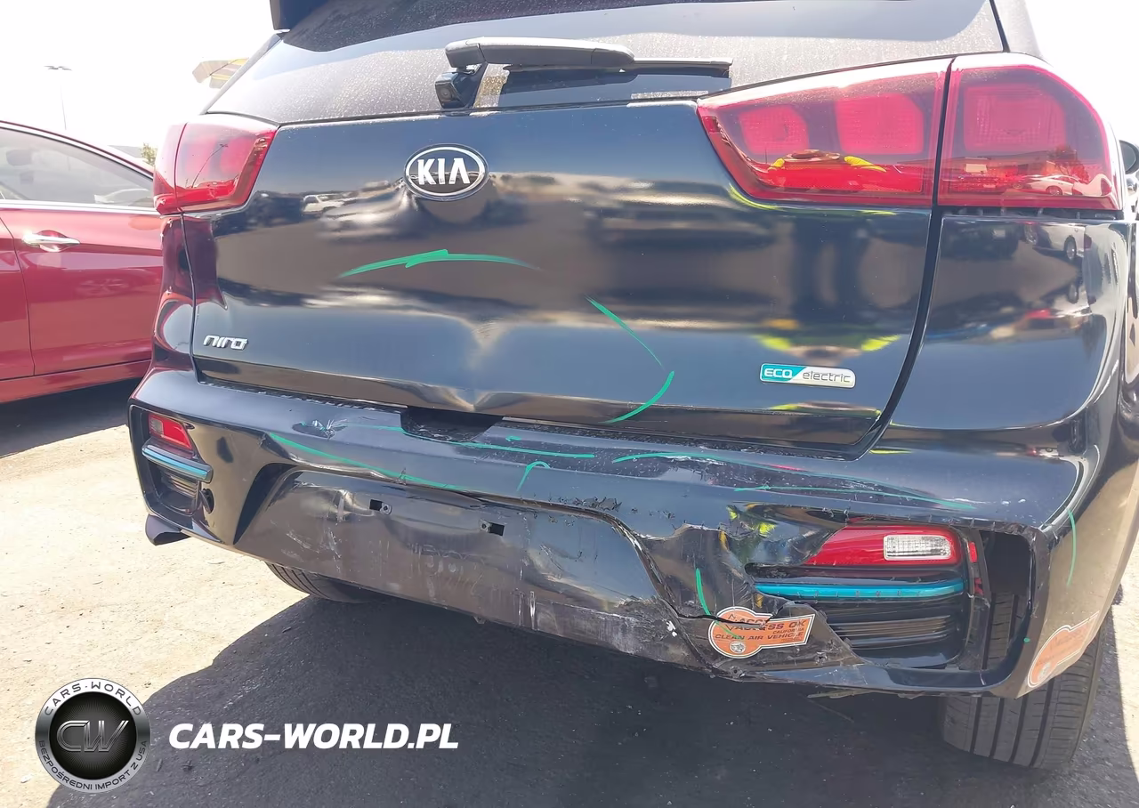 2019 Kia Niro Ev Ex VIN:KNDCC3LG6K5016448 - 6