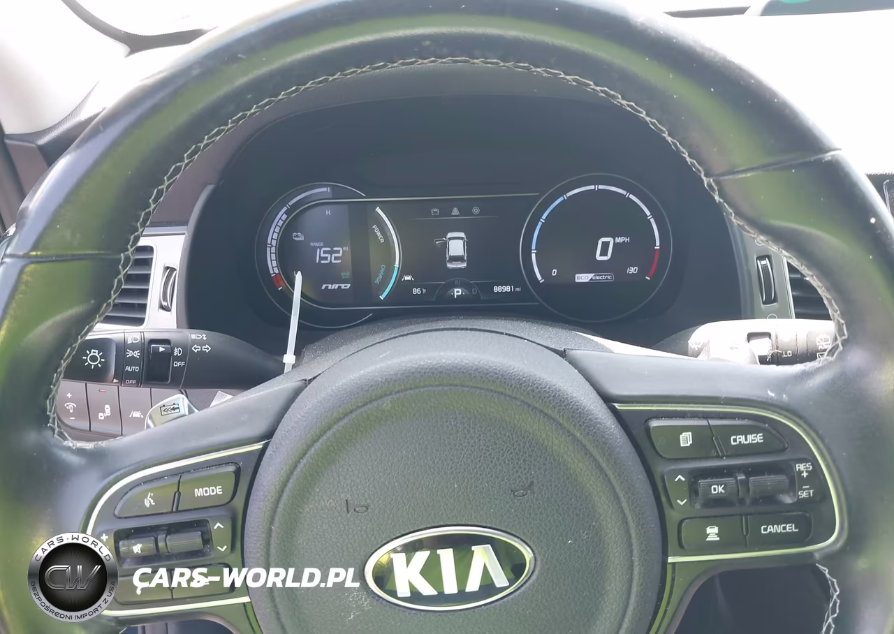 2019 Kia Niro Ev Ex VIN:KNDCC3LG6K5016448 - 7