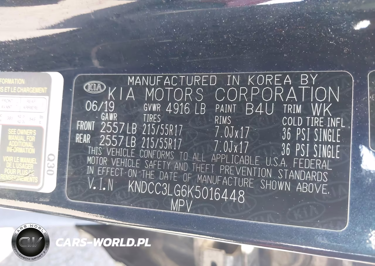 2019 Kia Niro Ev Ex VIN:KNDCC3LG6K5016448 - 9
