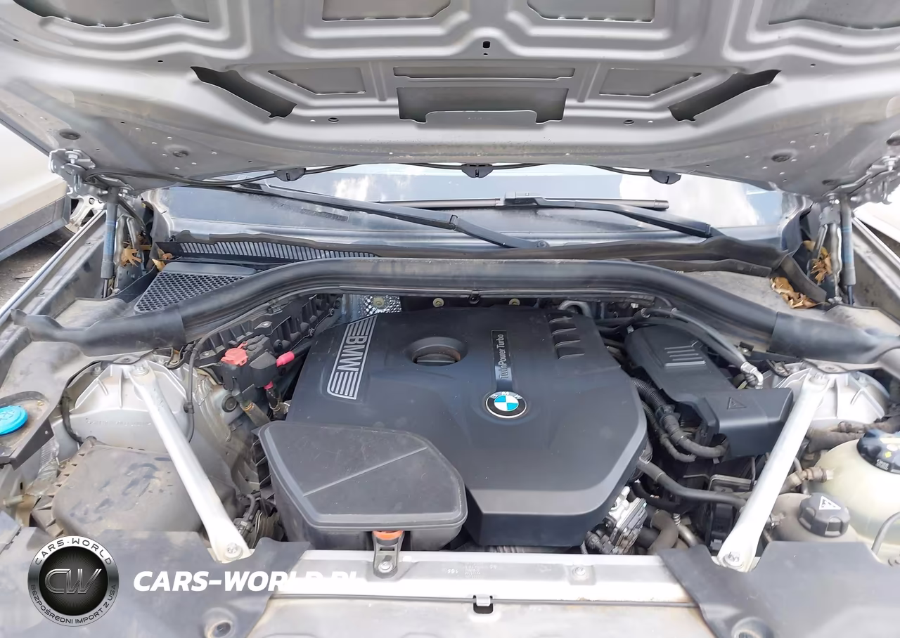 2019 BMW X3 Sdrive30I VIN:5UXTR7C59KLF24060 - 10