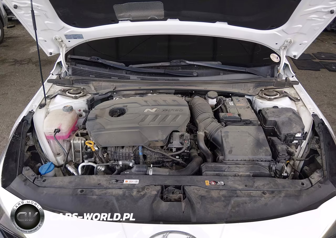 2023 Hyundai Elantra N VIN:KMHLW4AK1PU014460 - 10