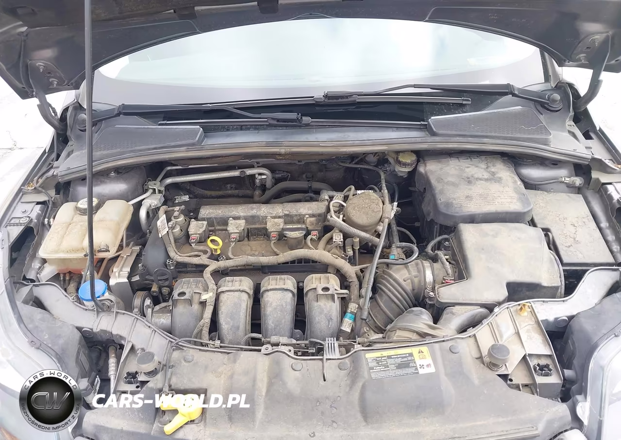 2013 Ford Focus Titanium VIN:1FADP3N26DL301536 - 10