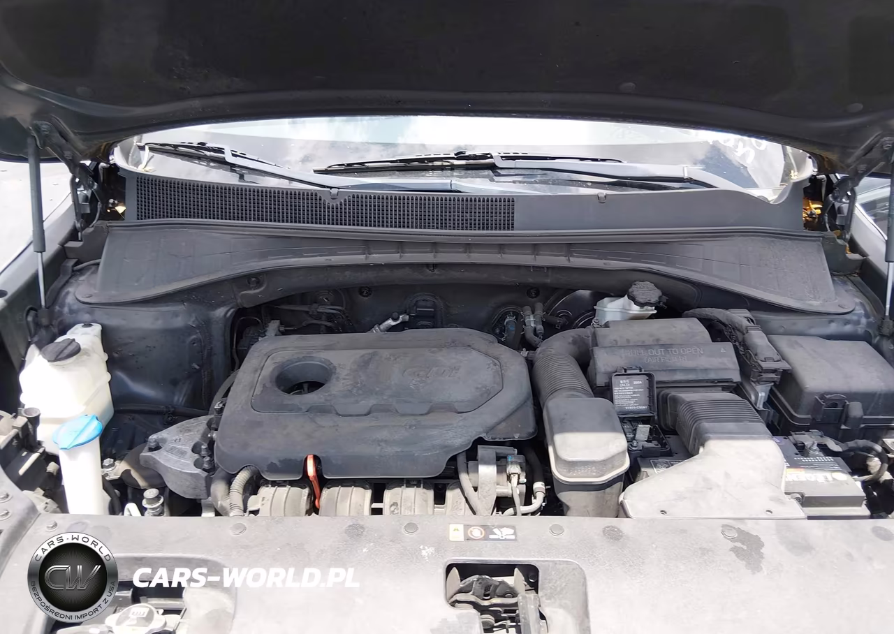 2019 Kia Sorento 2.4L Lx VIN:5XYPG4A3XKG506281 - 10