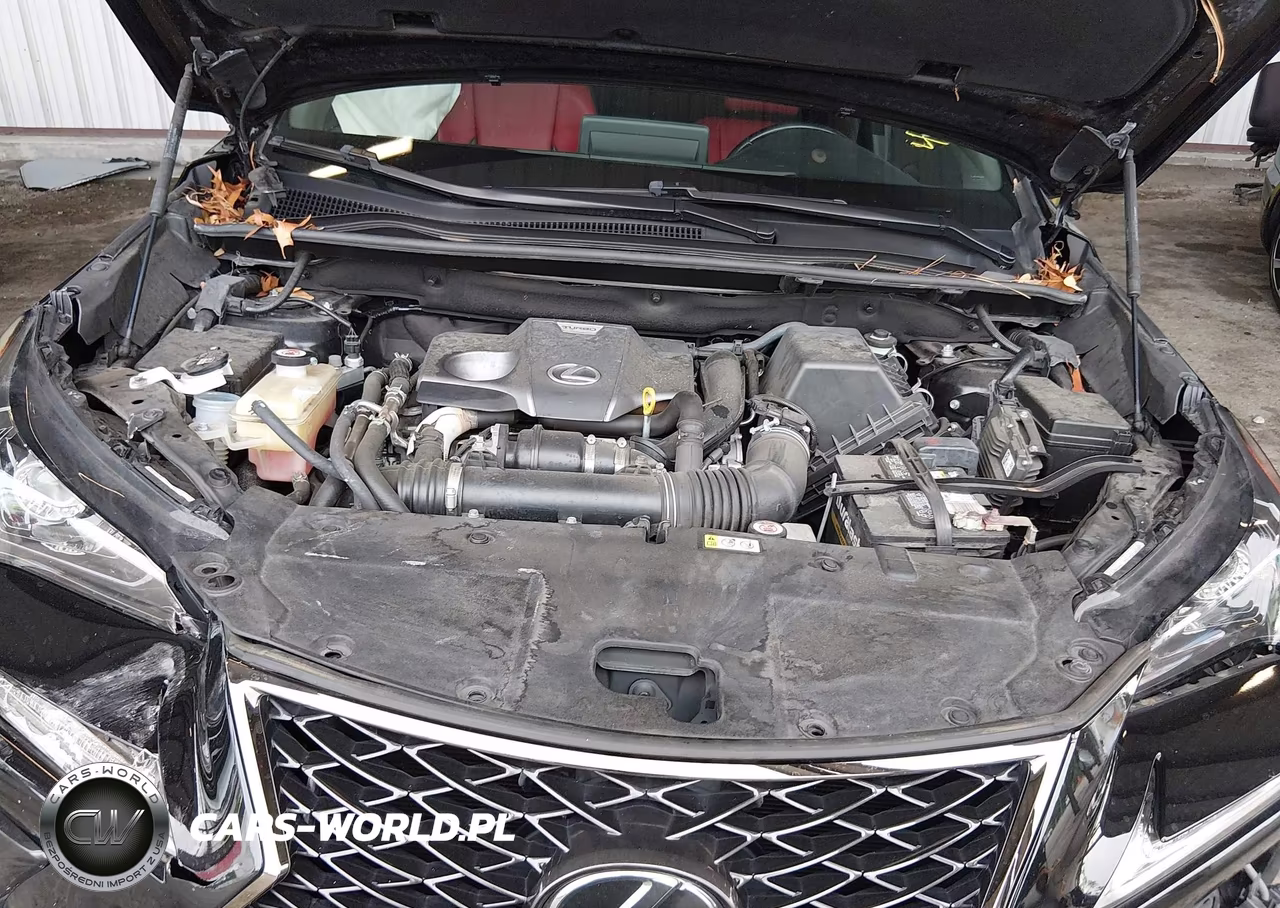 2020 Lexus Nx 300 F Sport VIN:JTJSARBZXL2174296 - 10