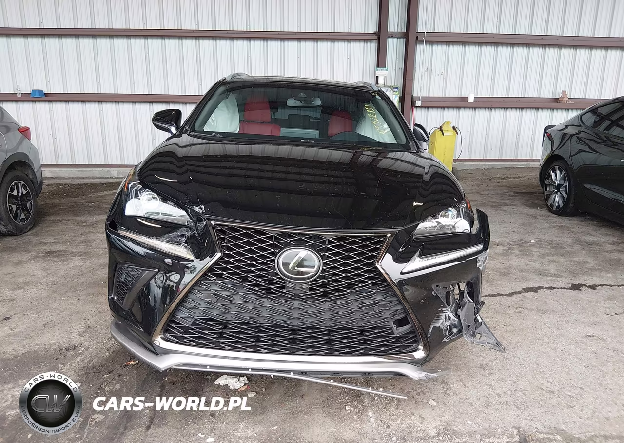 2020 Lexus Nx 300 F Sport VIN:JTJSARBZXL2174296 - 12