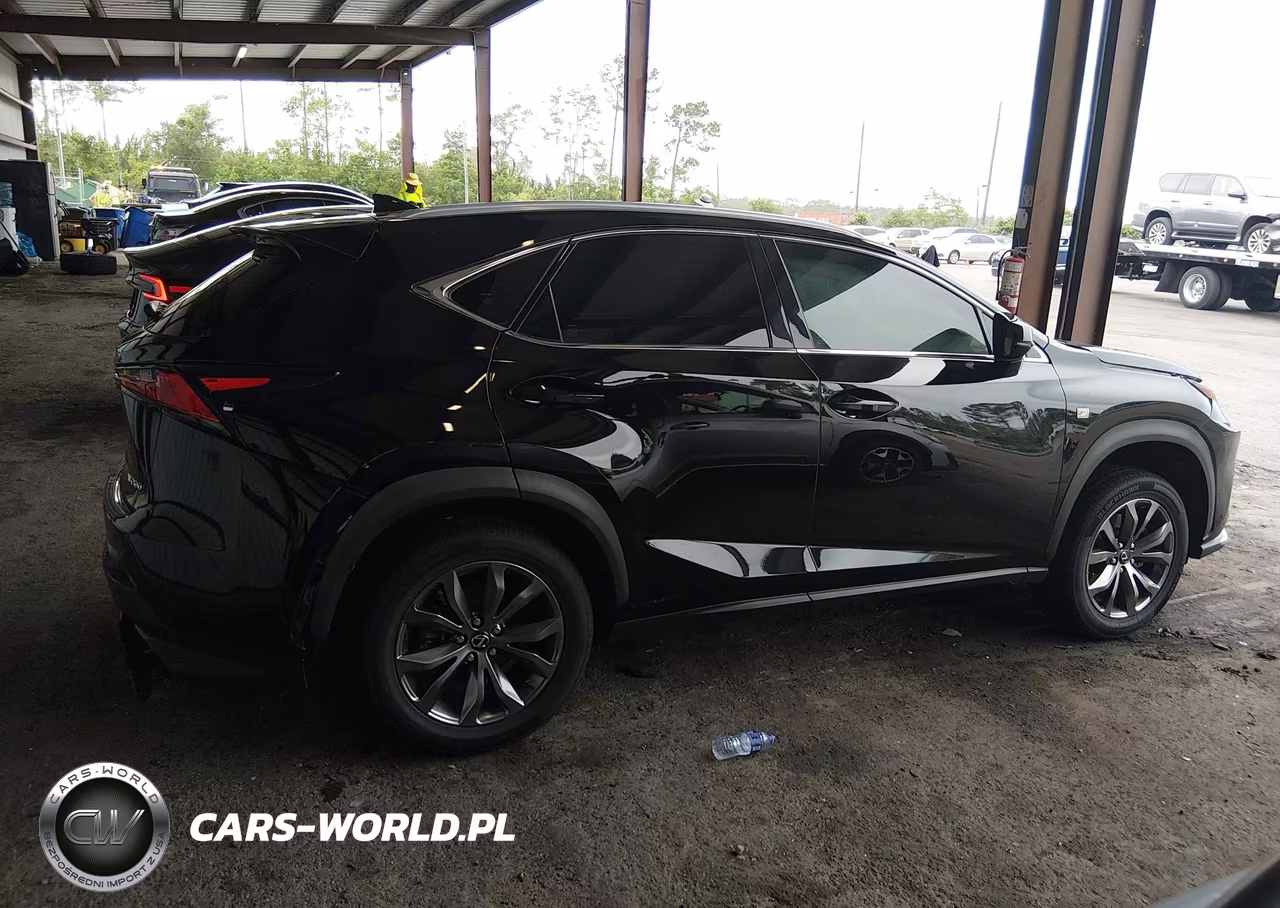 2020 Lexus Nx 300 F Sport VIN:JTJSARBZXL2174296 - 13