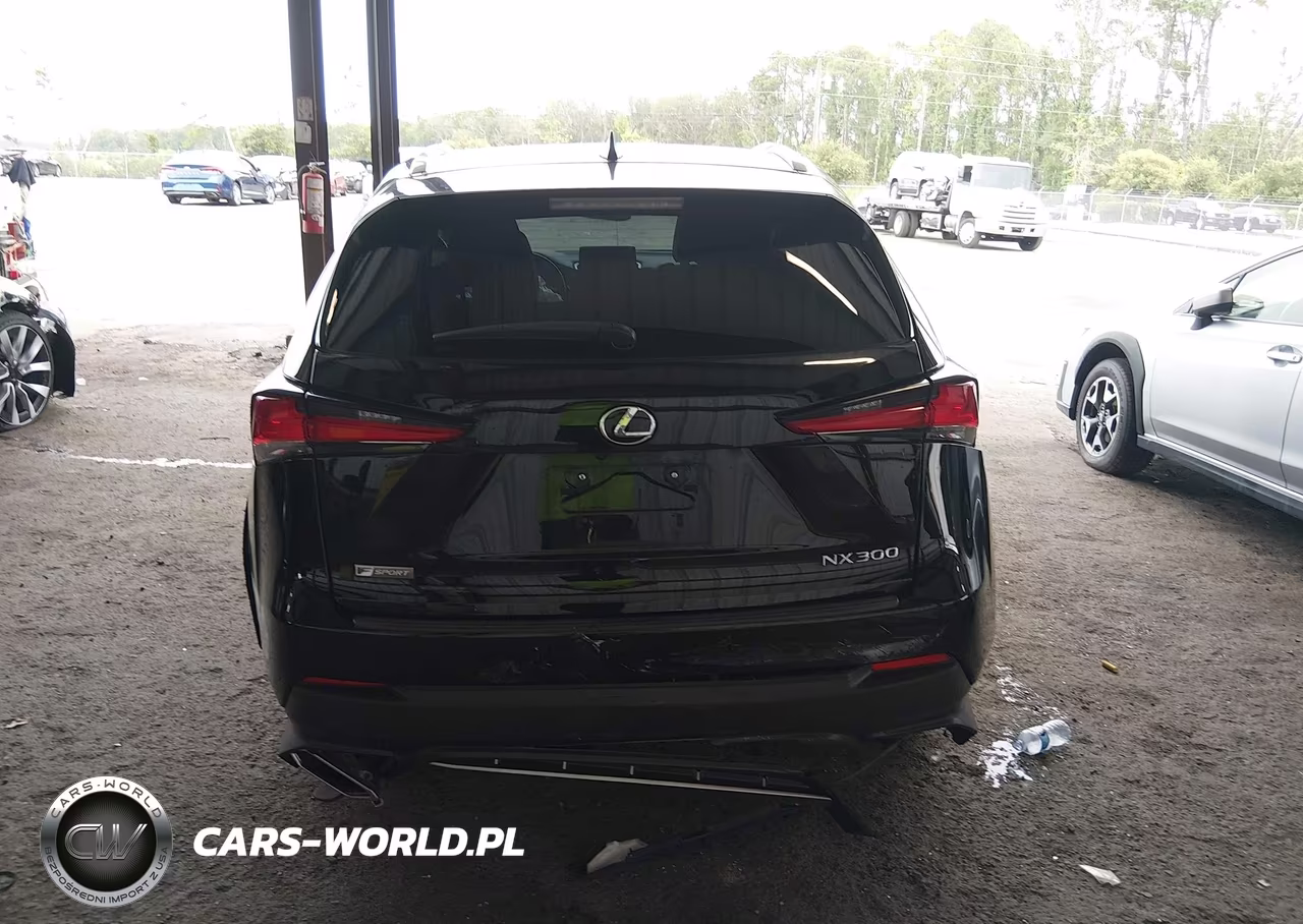2020 Lexus Nx 300 F Sport VIN:JTJSARBZXL2174296 - 16