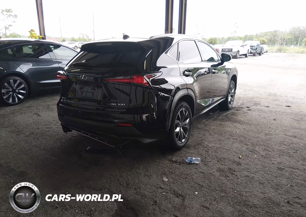 2020 Lexus Nx 300 F Sport VIN:JTJSARBZXL2174296 - 4