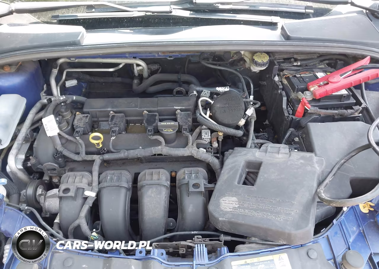 2012 Ford Focus Se VIN:1FAHP3F22CL316100 - 10
