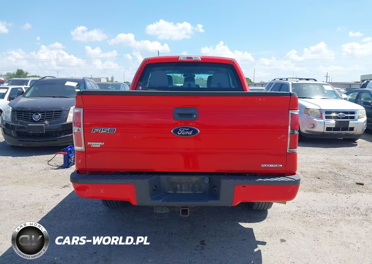 2013 Ford F-150 Fx2-Lariat-Stx-Xl-Xlt VIN:1FTFX1CF0DFD10874 - 16