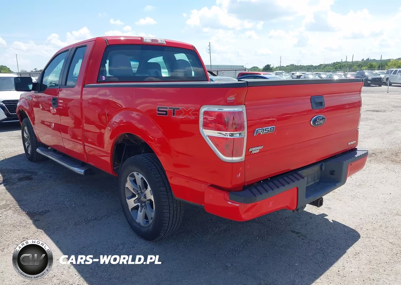 2013 Ford F-150 Fx2-Lariat-Stx-Xl-Xlt VIN:1FTFX1CF0DFD10874 - 3
