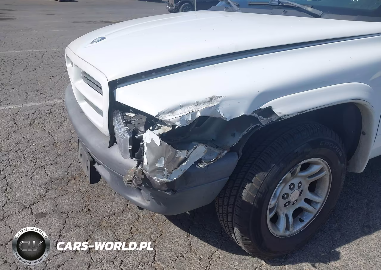 2003 Dodge Dakota VIN:1D7FL16X03S196323 - 6
